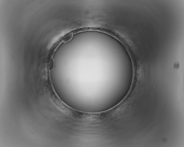 X0000111791262200907301137