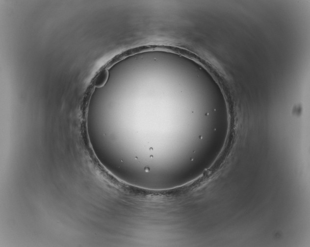 X0000111791264200907301137