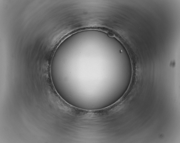 X0000111791265200907301137