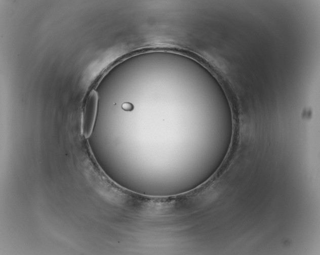 X0000111791269200907301137