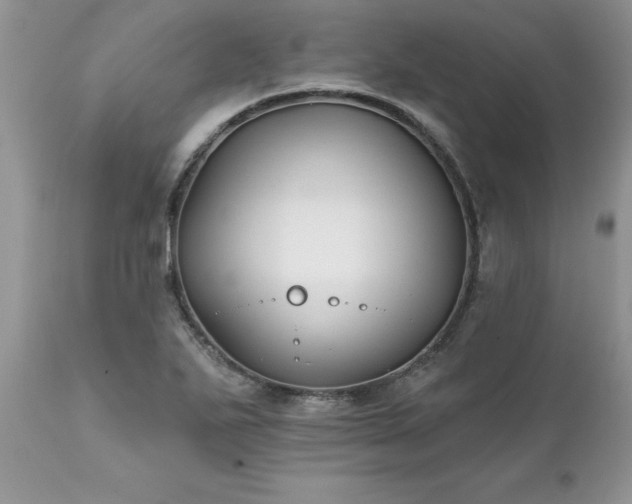 X0000111791271200907301137