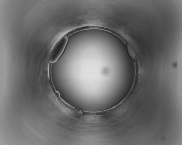 X0000111791272200907301137