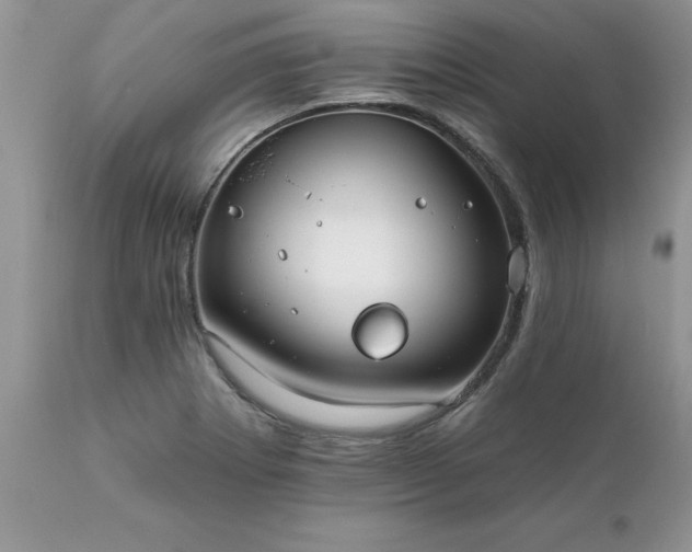 X0000111791273200907301137