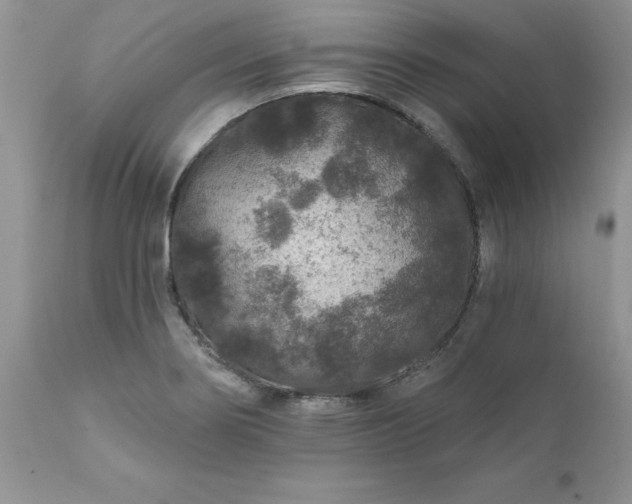 X0000111791274200907301137