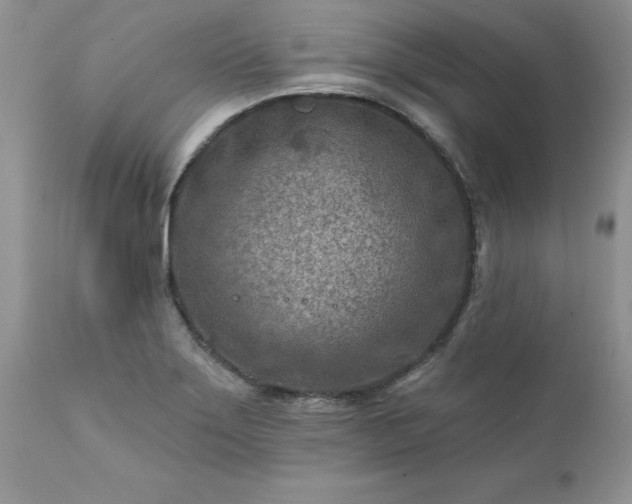 X0000111791275200907301137