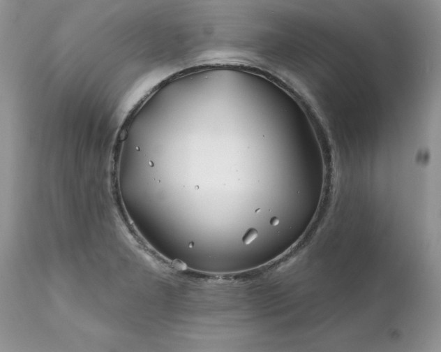 X0000111791277200907301137