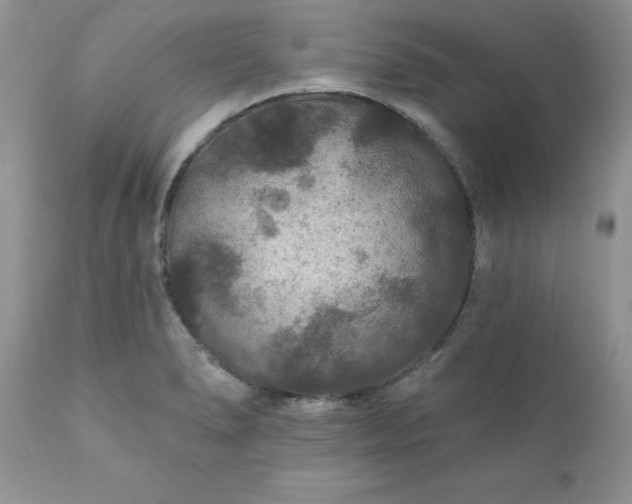 X0000111791278200907301137