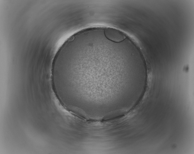 X0000111791279200907301137