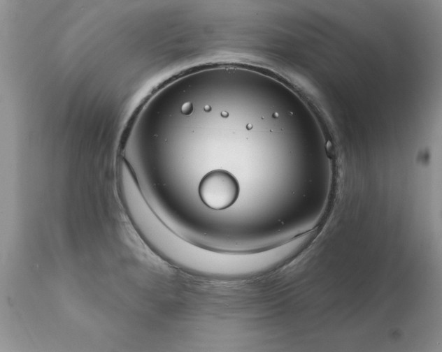 X0000111791280200907301137