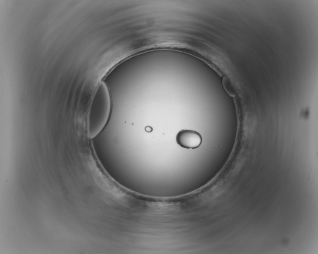 X0000111791281200907301137