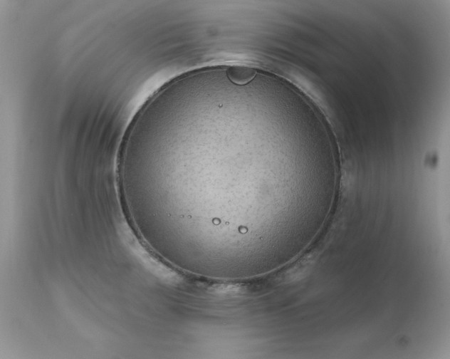 X0000111791283200907301136