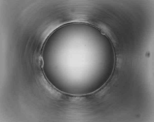 X0000111791284200907301136