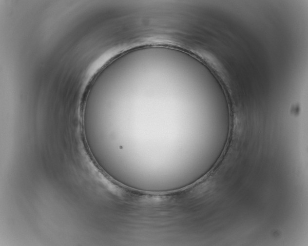 X0000111791286200907301136