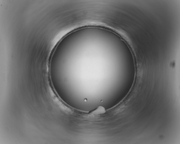 X0000111791287200907301136