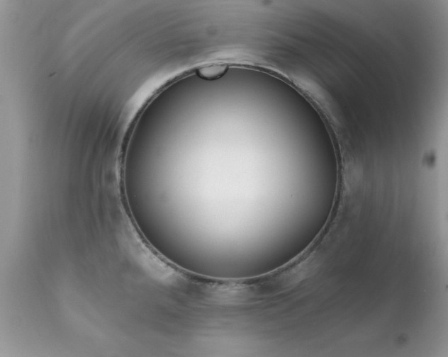 X0000111791288200907301136