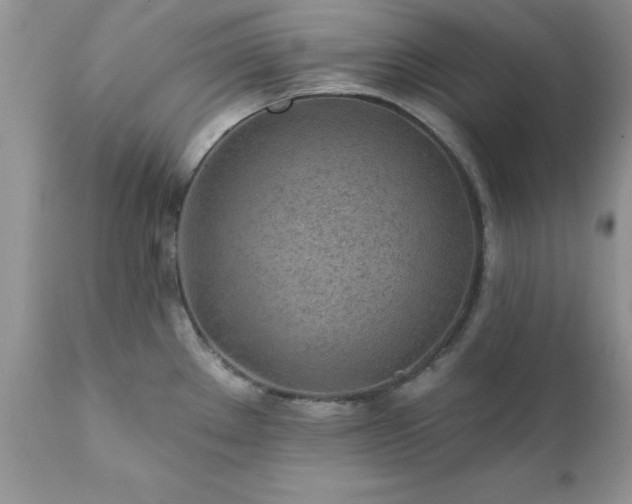 X0000111791289200907301136