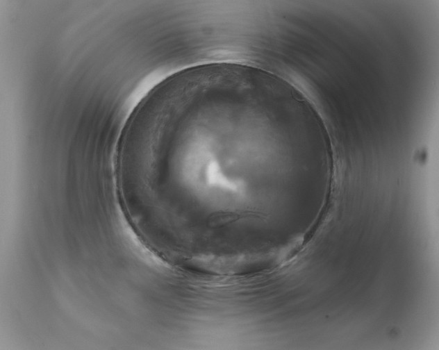 X0000111791291200907301136