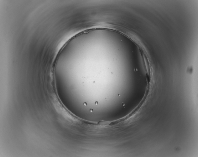 X0000111791292200907301136