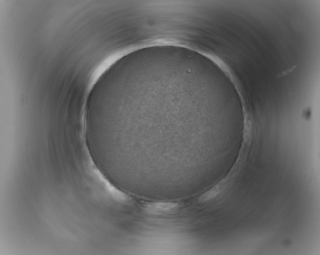 X0000111791294200907301136