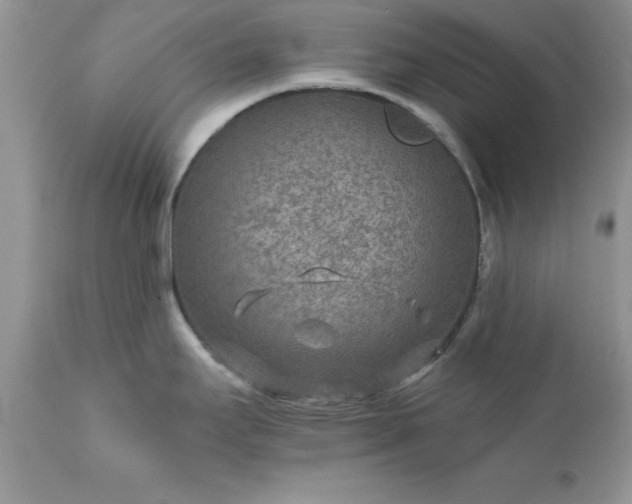 X0000111791295200907301136