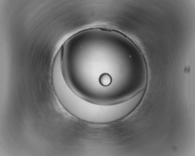 X0000111791296200907301136