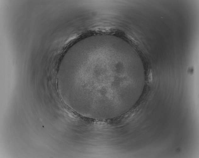 X0000111791297200907301135