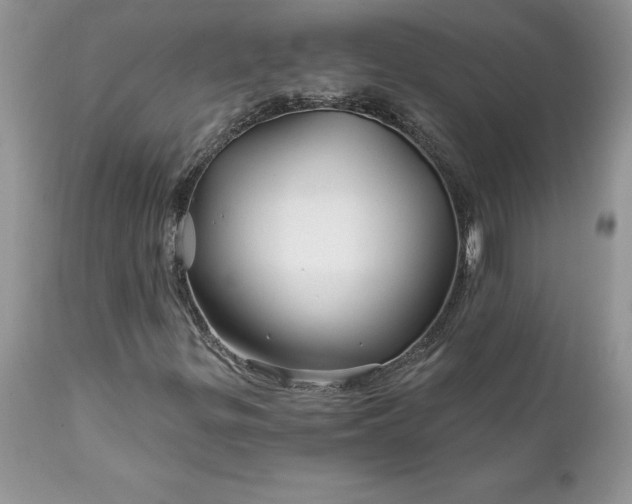 X0000111791299200907301135