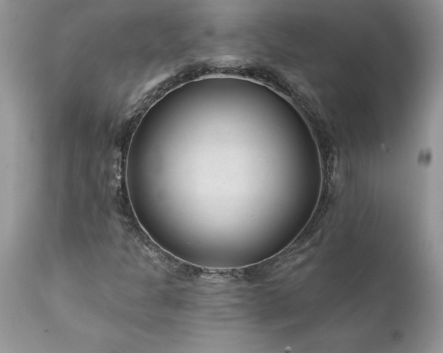 X0000111791301200907301135