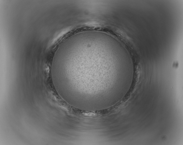 X0000111791302200907301135