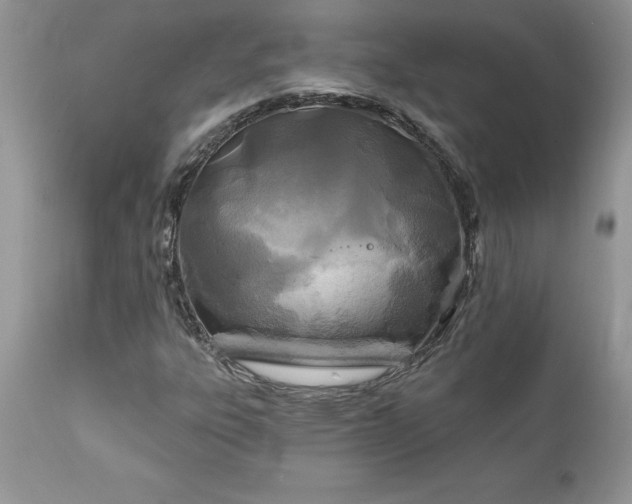 X0000111791303200907301135