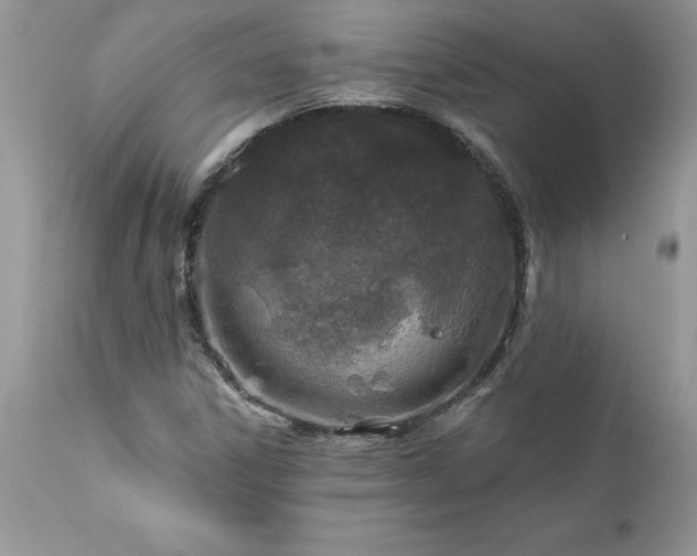 X0000111791306200907301136