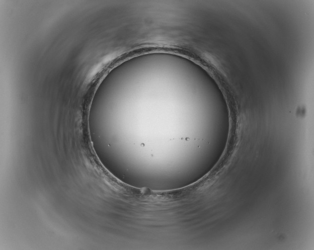 X0000111791307200907301136