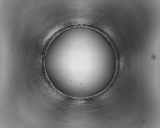 X0000111791309200907301136