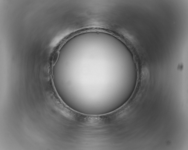 X0000111791310200907301136