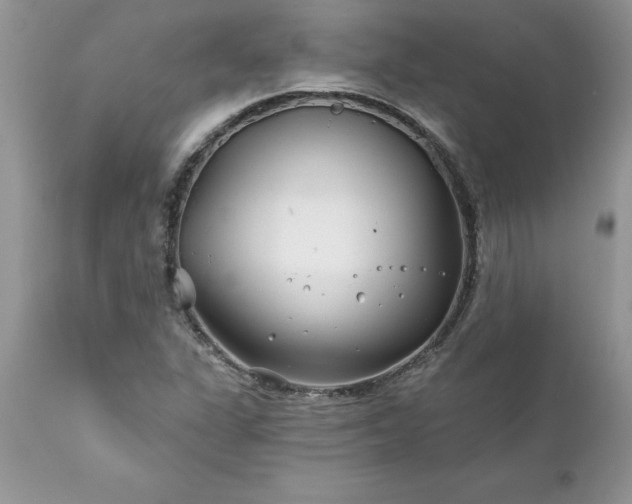 X0000111791311200907301136