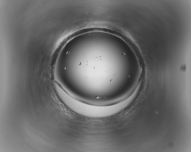 X0000111791312200907301136