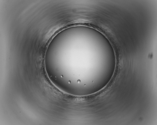 X0000111791313200907301136