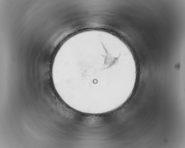 X0000111791314200907301136