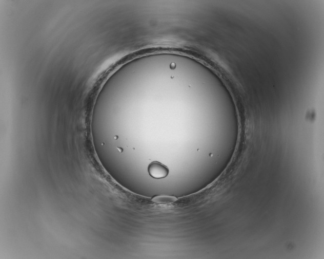 X0000111791315200907301136