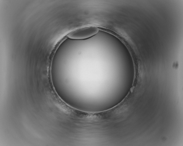 X0000111791316200907301136