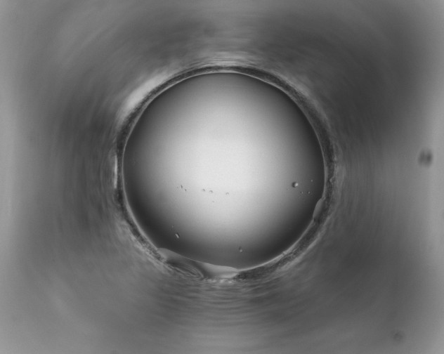 X0000111791317200907301136