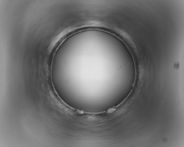 X0000111791318200907301136