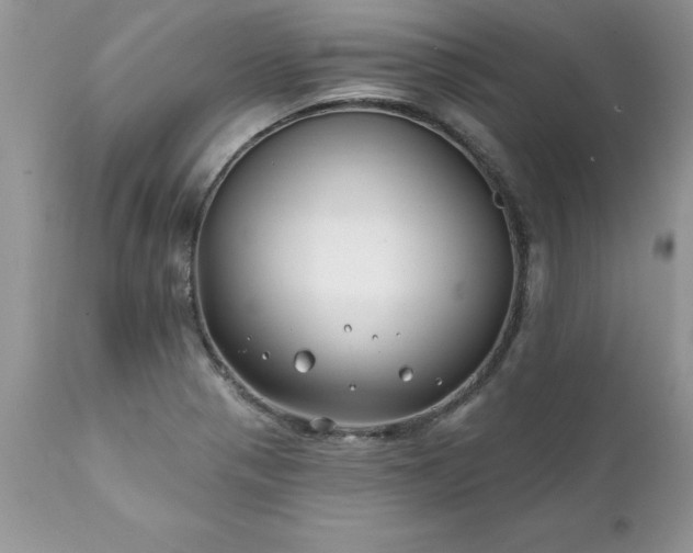 X0000111791321200907301136