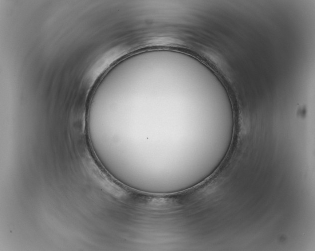 X0000111791322200907301136