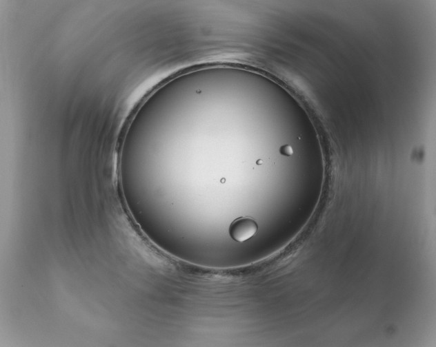 X0000111791324200907301136