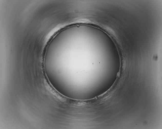 X0000111791326200907301136