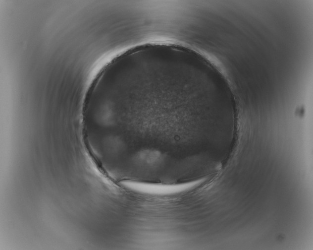 X0000111791327200907301136