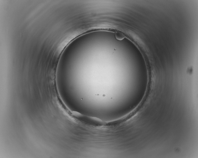 X0000111791329200907301136