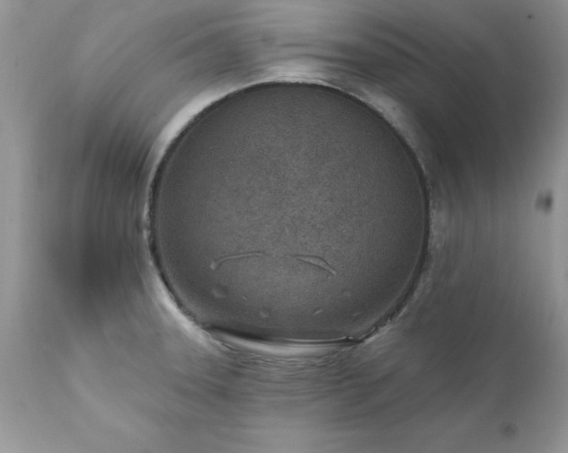 X0000111791331200907301136