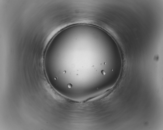 X0000111791332200907301136